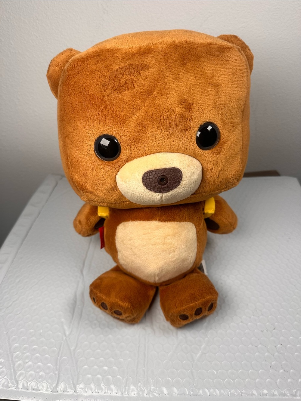Fisher-Price Smart Toy Bear DNV31 2015 Tested Works Complete Backpack USB Cards